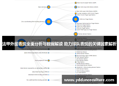 法甲外援表现全面分析与数据解读 助力球队表现的关键因素解析