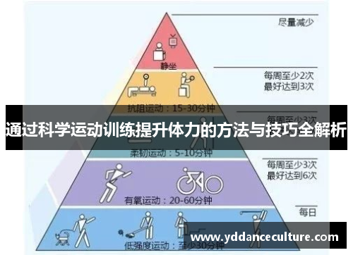 通过科学运动训练提升体力的方法与技巧全解析
