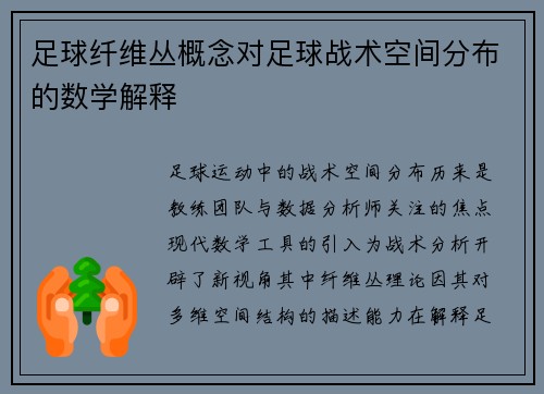 足球纤维丛概念对足球战术空间分布的数学解释